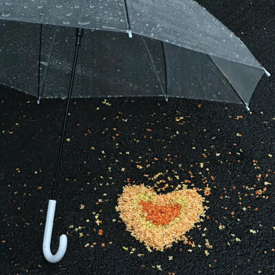 女生头像背景图搭配