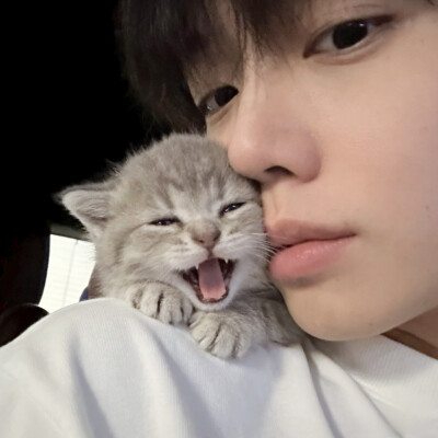 男头
二传头像注明出处