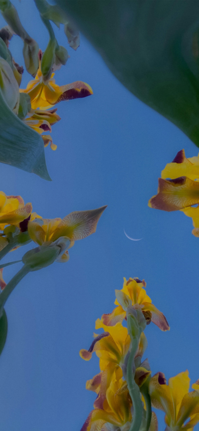 ‎#ليس قوة خارقة