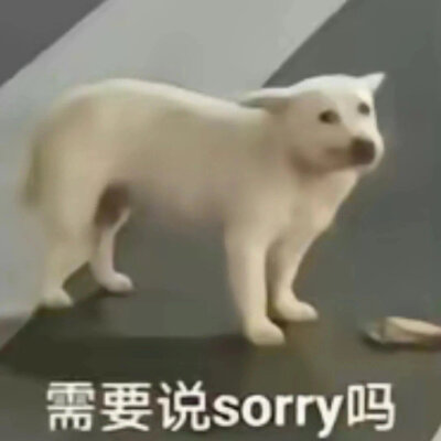 表情包·图源微博