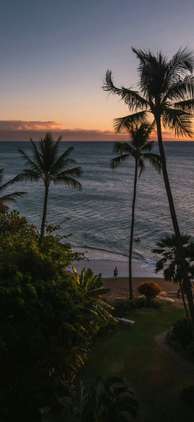 壁纸·图源微博