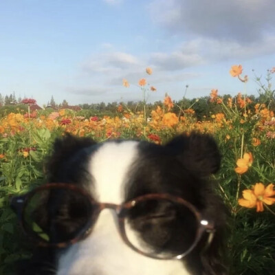 ଘ(੭ˊᵕˋ)੭* ੈ✩