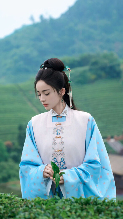 玉茗茶骨 荣善宝 古力娜扎