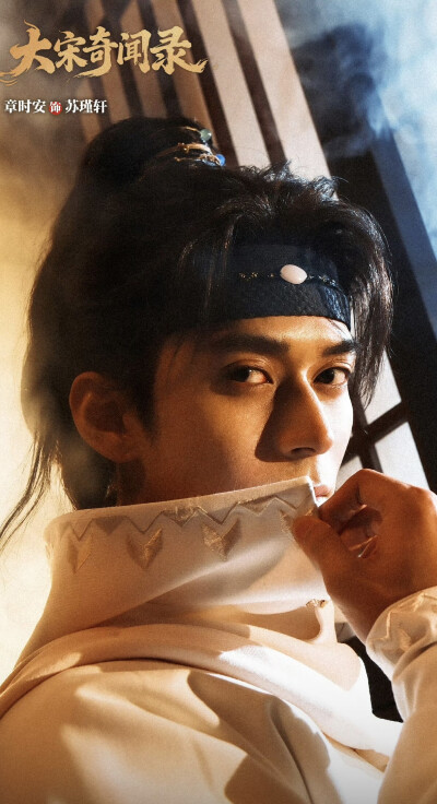 章时安《大宋奇闻录》苏瑾轩