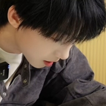 羊