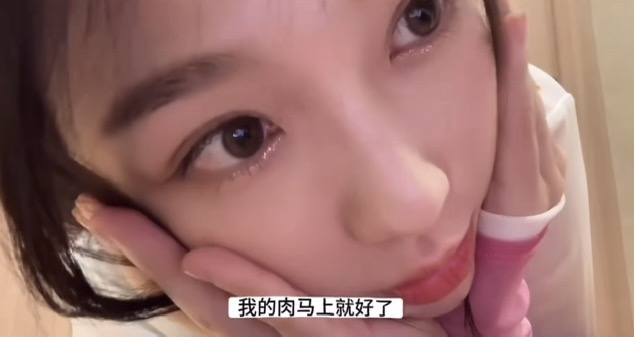 天天都想念着圆圆的你