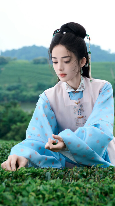 玉茗茶骨 荣善宝 古力娜扎