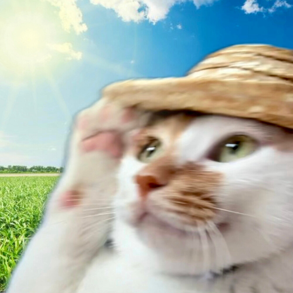 表情包·图源微博