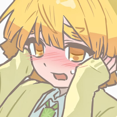 我妻善逸是米孝子