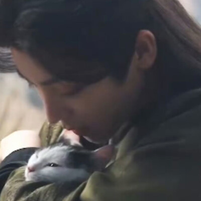 娘子却依旧每日折一枝杨柳