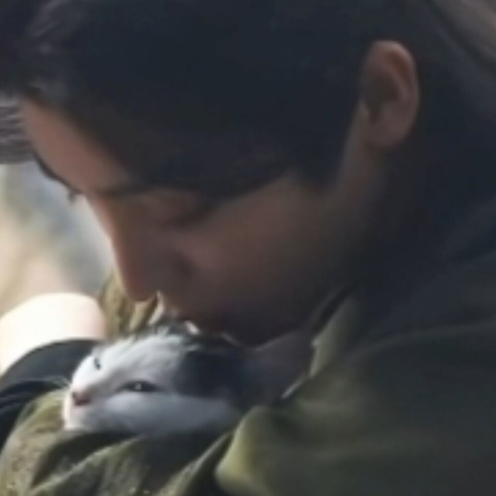 娘子却依旧每日折一枝杨柳