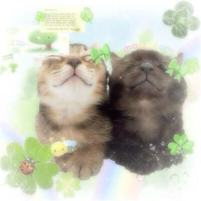 绿色系可爱头像