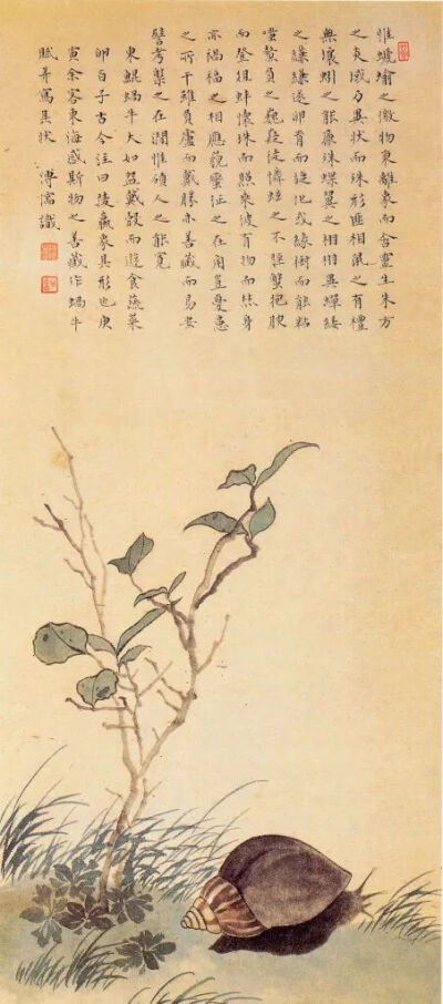 溥心畬《蛞蝓图》1950年，纸本，61.5cm×27.5cm
台北故宫博物院