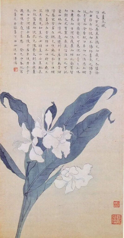 溥心畬《水姜花》1953年，纸本私人收藏