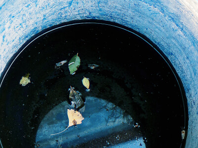水