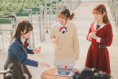 LL系列15周年纪念特番放送决定!
2月9日，出演：村上奈津实，伊达小百合，榆井希实