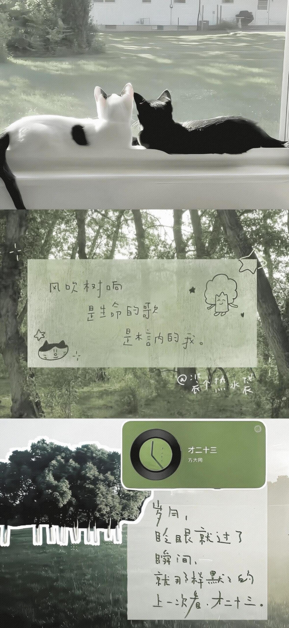 壁纸