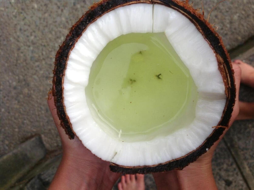 绿色椰子水
