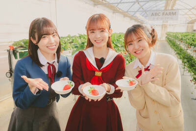 LL系列15周年纪念特番放送决定!
2月9日，出演：村上奈津实，伊达小百合，榆井希实