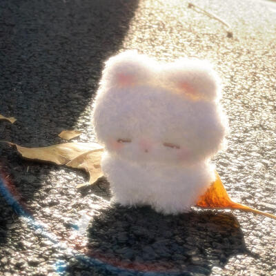 玩偶
