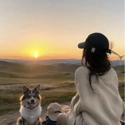 生活无解，去爱，去感受