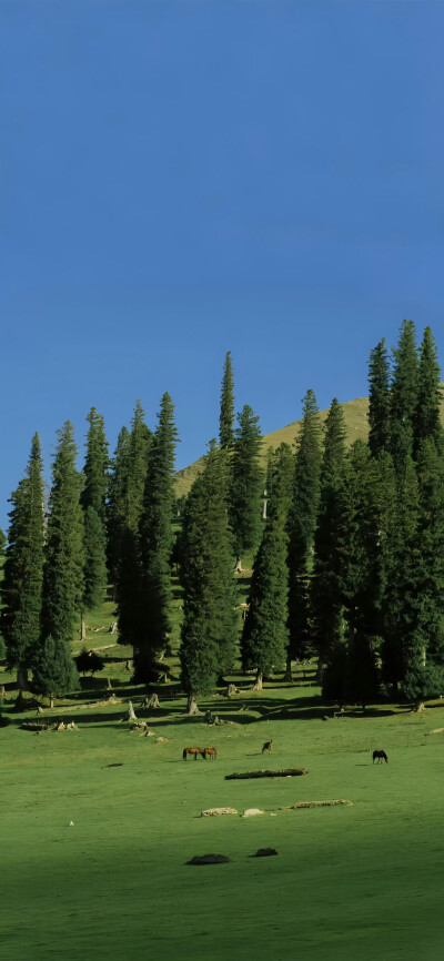 超赞氛围感壁纸，锁屏背景，ins风壁纸