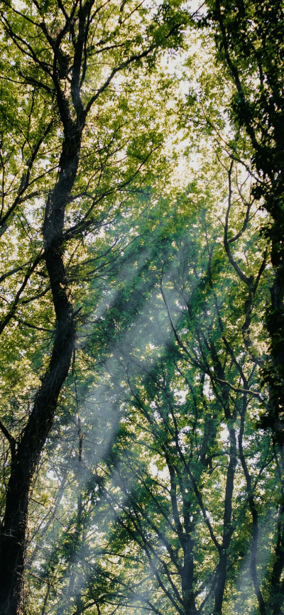 超赞氛围感壁纸，锁屏背景，ins风壁纸