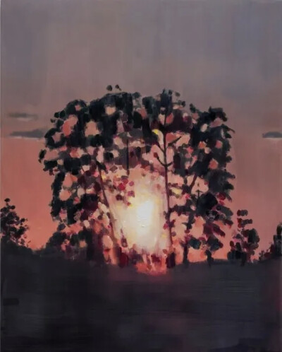 南希·弗里德兰德Nancy Friedland作品