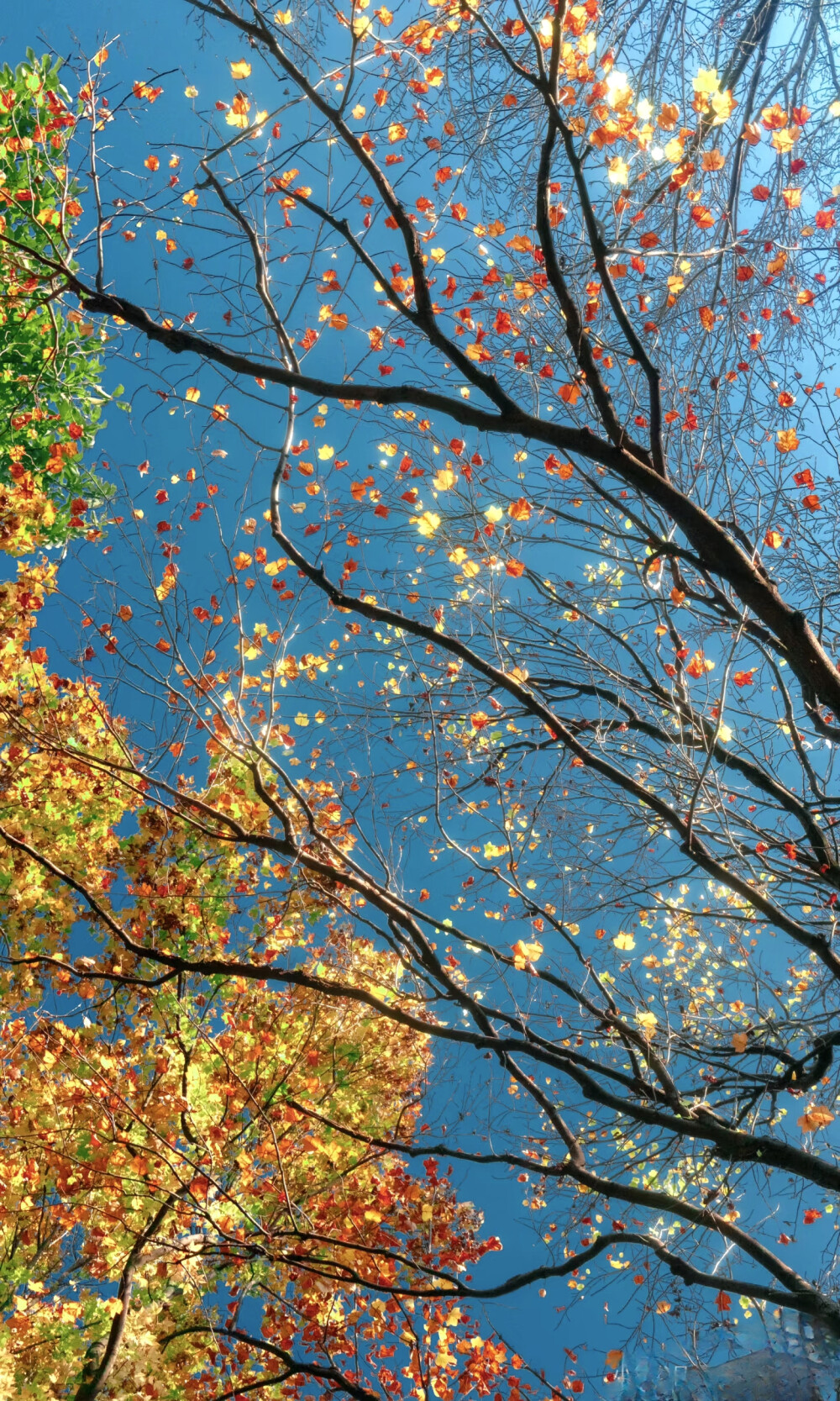 超赞氛围感壁纸，锁屏背景，ins风壁纸