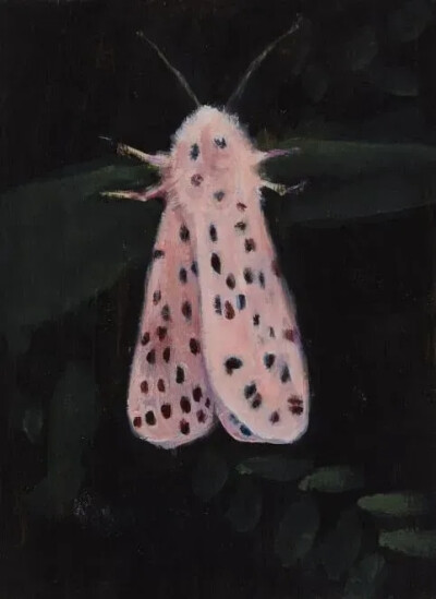 南希·弗里德兰德Nancy Friedland作品