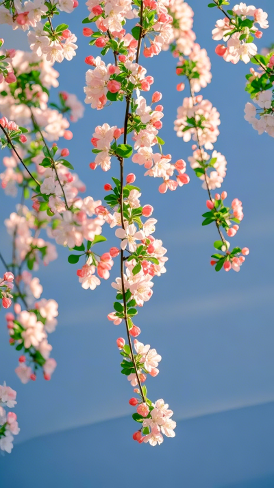 超赞氛围感壁纸，锁屏背景，ins风壁纸