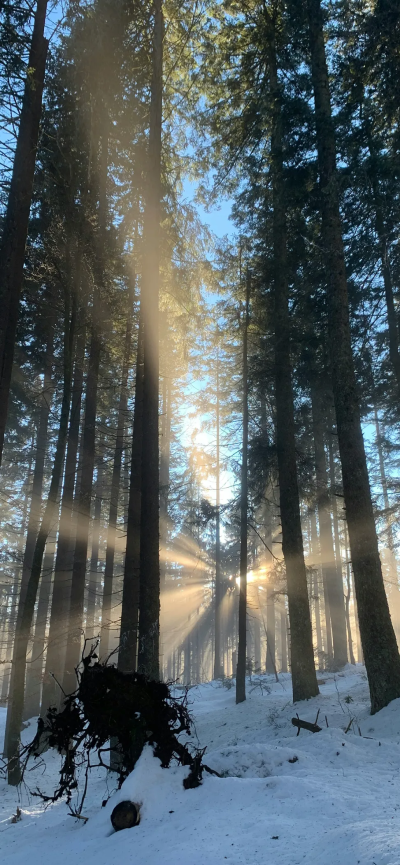 超赞氛围感壁纸，锁屏背景，ins风壁纸