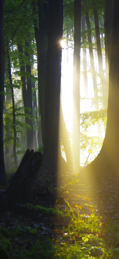 超赞氛围感壁纸，锁屏背景，ins风壁纸