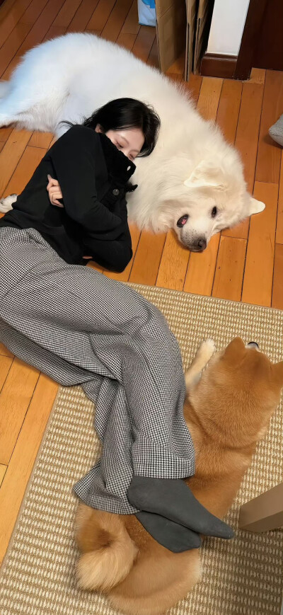 生活给我一拳我成这样了0_o