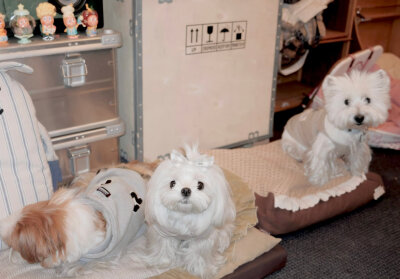 你才不是什么废墟 你是我的全世界(~≖₃≖)~