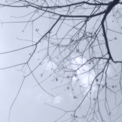 5.♡·愛你ちゃん成長日記⁺♡