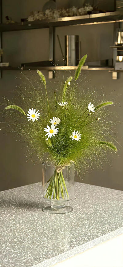 小清新壁纸分享.ᐟ.ᐟ