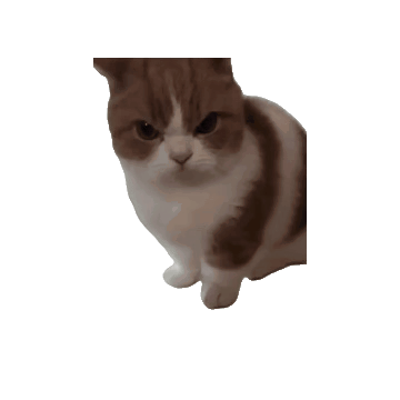 动图表情包·图源微博