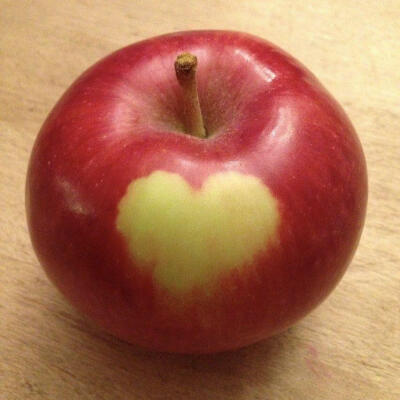 苹果核