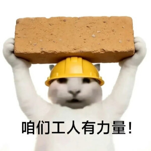 表情包