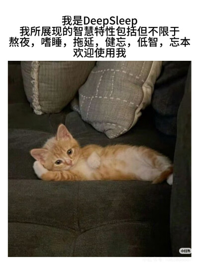 猫猫拯救世界