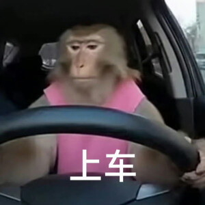 表情包