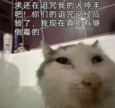 表情包