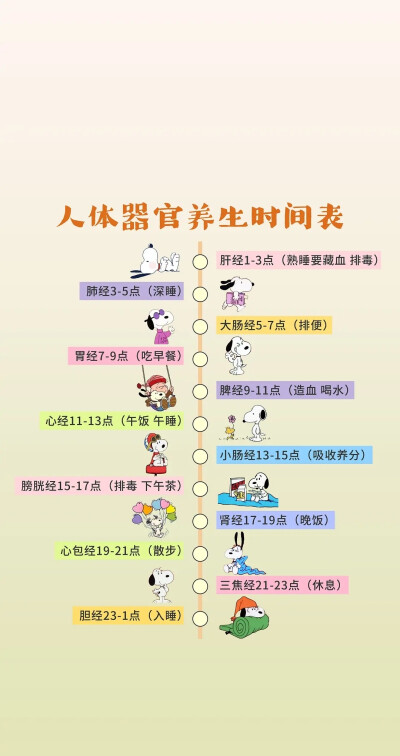 养生表手机壁纸