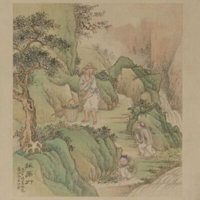 清乾隆 徐扬端阳故事册之采药草 故宫博物院 藏