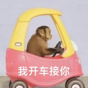 表情包