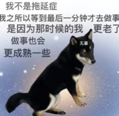 表情包