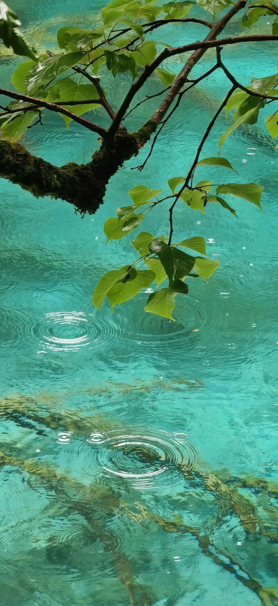 ios26裸眼3D景深壁纸
#氛围感壁纸#