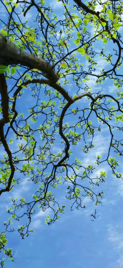 ios26裸眼3D景深壁纸
#氛围感壁纸#