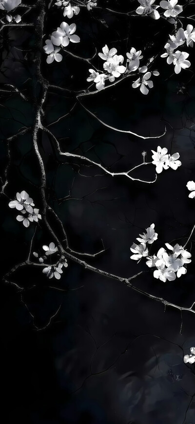 ios26裸眼3D景深壁纸
#氛围感壁纸#